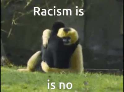 Monke