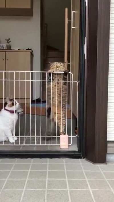 Maybe maybe maybe