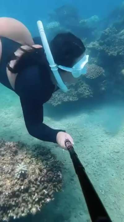 Big asses underwater