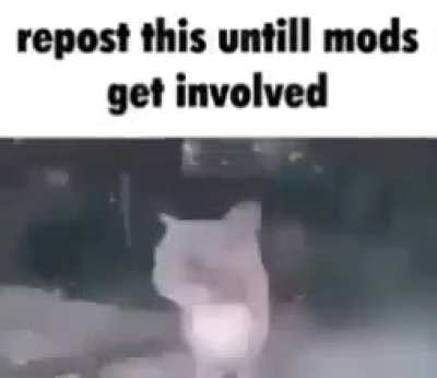 Title