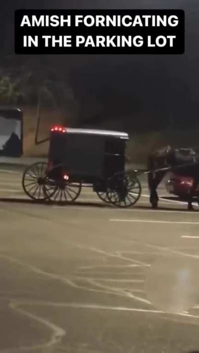 Amish Paradise!