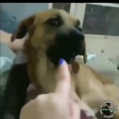 VOC&Ecirc; VAI OQ ???&iquest;&iquest;