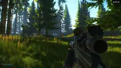 Average day in Tarkov