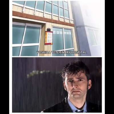 BeelcitosMemes - Video #4539