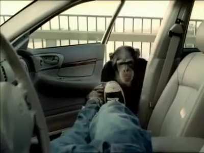Security monke