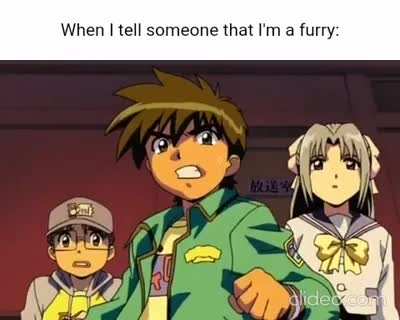 Furry_irl