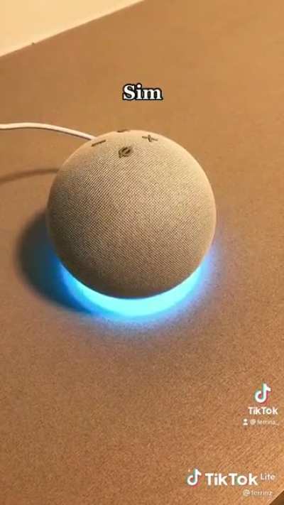 Alexa ?