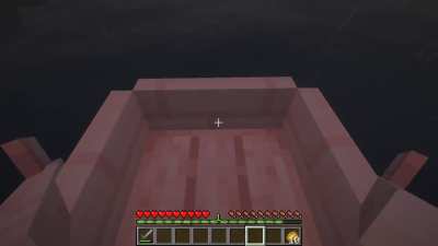 how do you guys fix this when i ride a boat it bugs ? it only bugs when im using optifine but with iris its fine