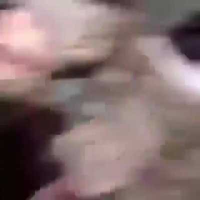 BeelcitosMemes - Video #5855