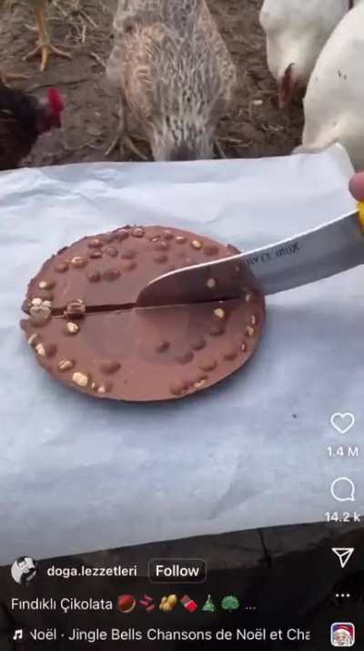 tavukdedass