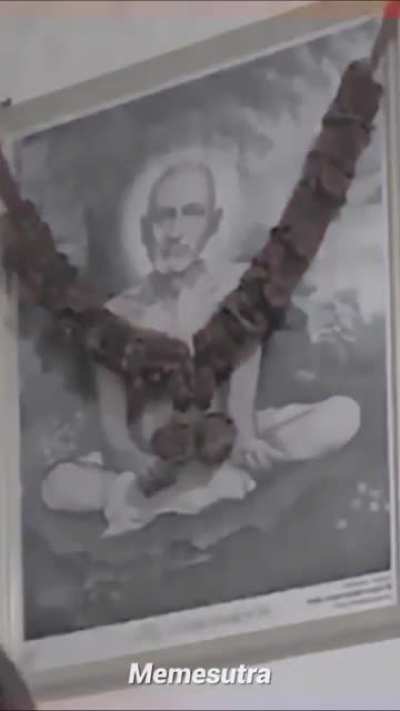Abe bhai