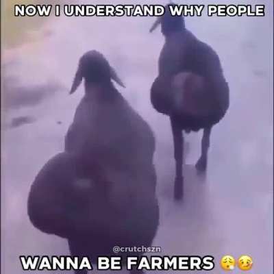 🥵