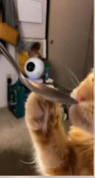 Ahhhhh