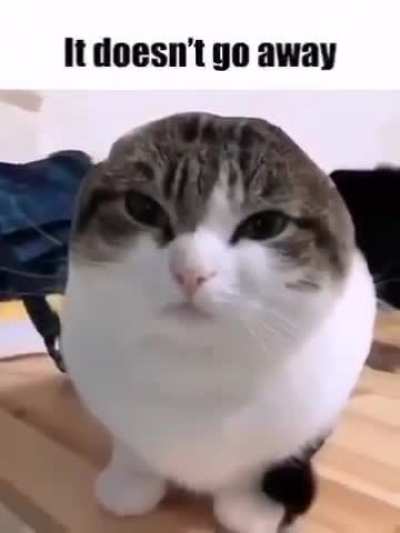 Rule