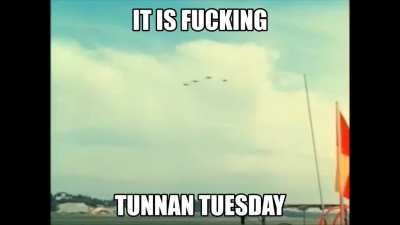 Tunnan Tuesday
