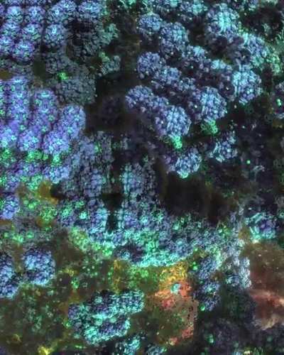 Space Fractals