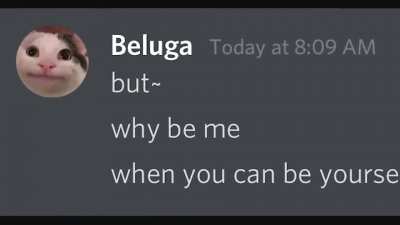Beluga encounters master hacker (Credit Neluga on YouTube)