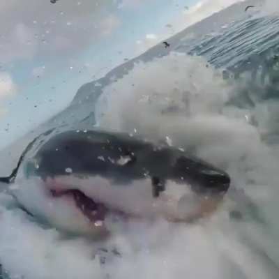 This was cool until the camera went under water.