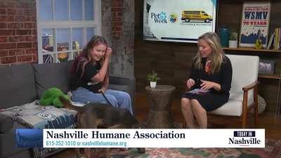 Today In Nashville. WSMV4 TV. April 14th 2026