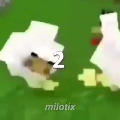 Los 5 patos