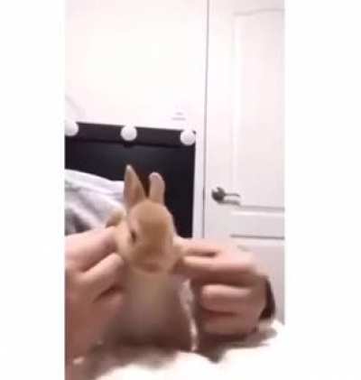 go ahead, click it