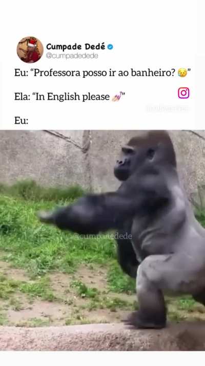 Toma essa Shit ent&atilde;o
