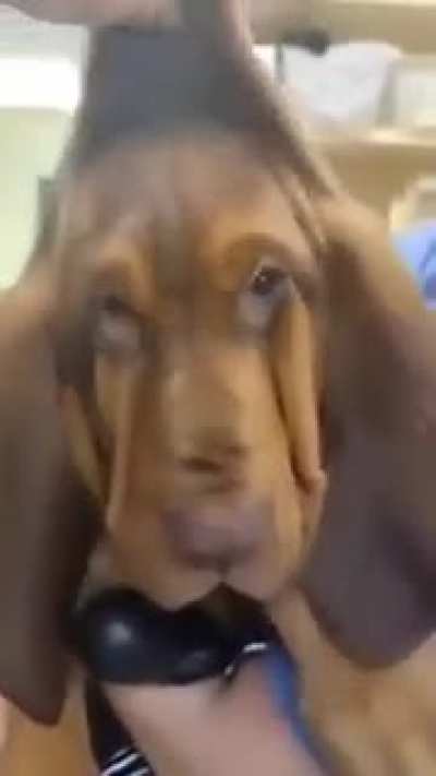 Oh shit when did we get here?