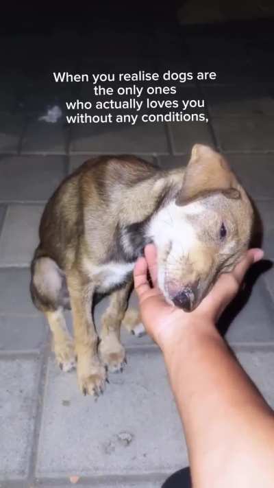 They love without any conditions!