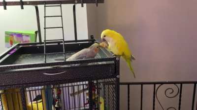 Sharing is caring