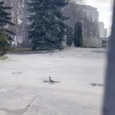 He just sits there...