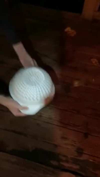 Getting a bat out of the house