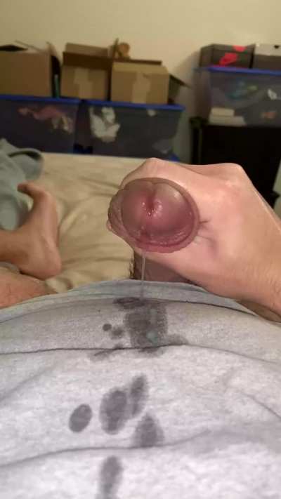 Another day, another nut busted