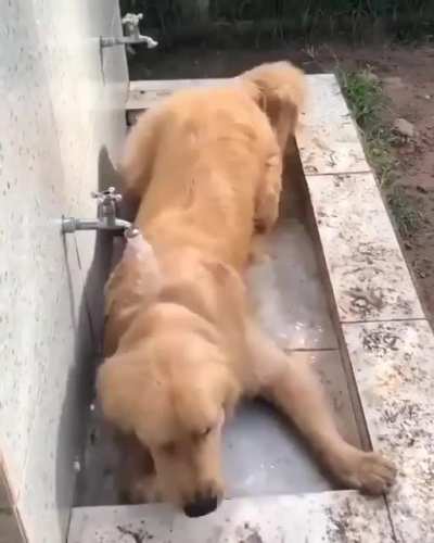 This is fine