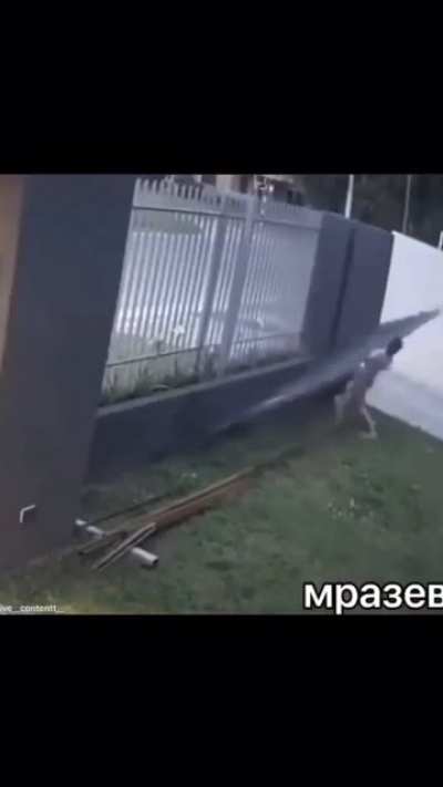 WCGW pulling on a fence