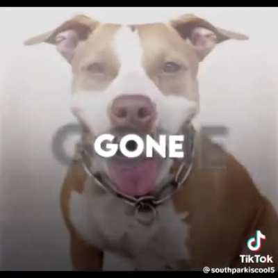 Well it&rsquo;s gone, it&rsquo;s gone, it&rsquo;s goooooooone