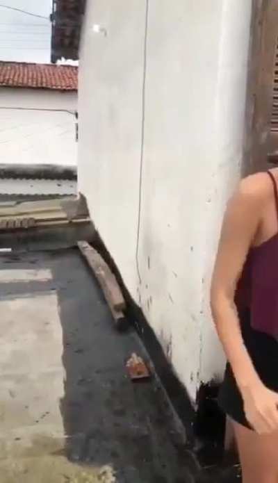 Girl who talked shit on social media gets the Brazilian stick treatment.