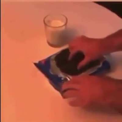 Gente tengo como 2 urigod 🐀💎🐀💎 en mi casa ¿como le hago para deshacerme de ellos?