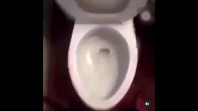 I dropped it