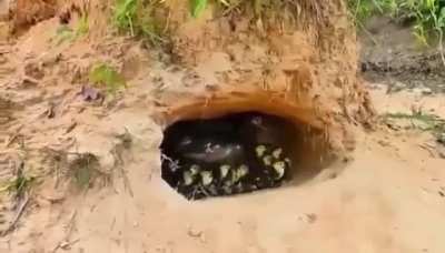 Как это понимать?