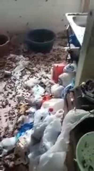 Cursed_home