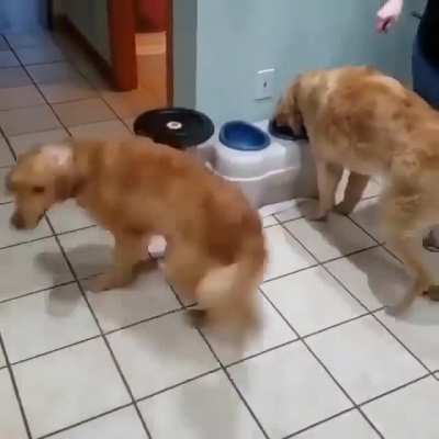 I can&rsquo;t tell if he&rsquo;s hungry