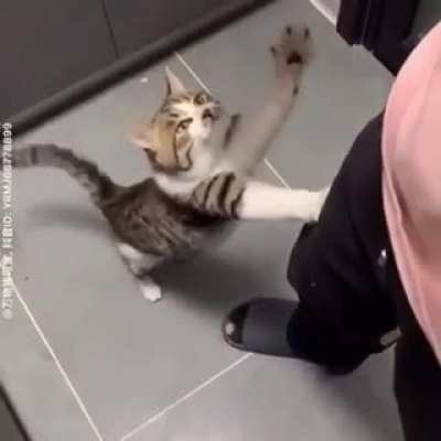 ㅤ