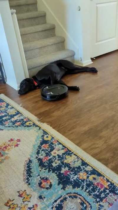 "I'm tired, boss"