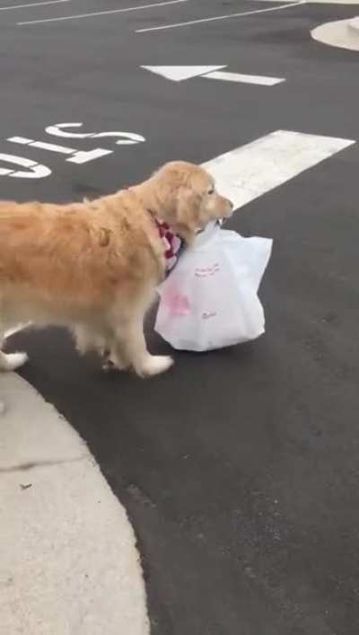 Safest delivery service yet