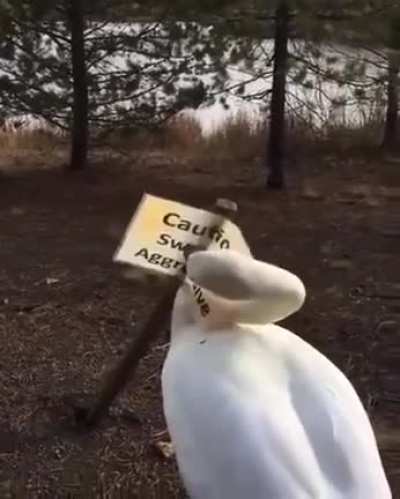 Trespass at your own risk!