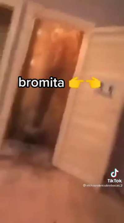 Bromita 👉👈