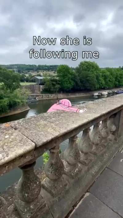 What do I do bros 😭?