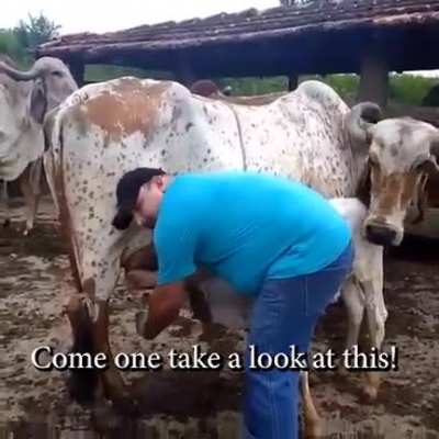 Farmer explains why they have a healthier life style.