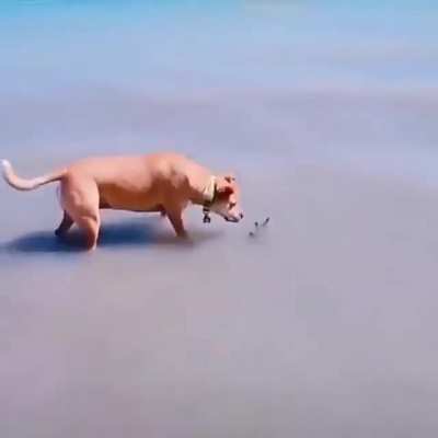 Moment of terror