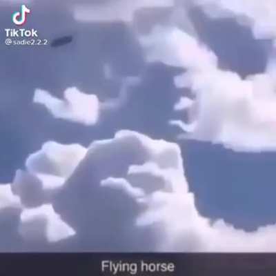 &iquest;Juan? PD: Ignoren el logo de Tik Tok